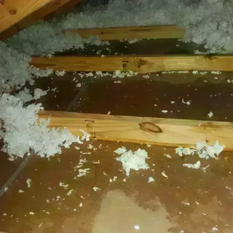 Attic Water Damage in Itawamba County, MS