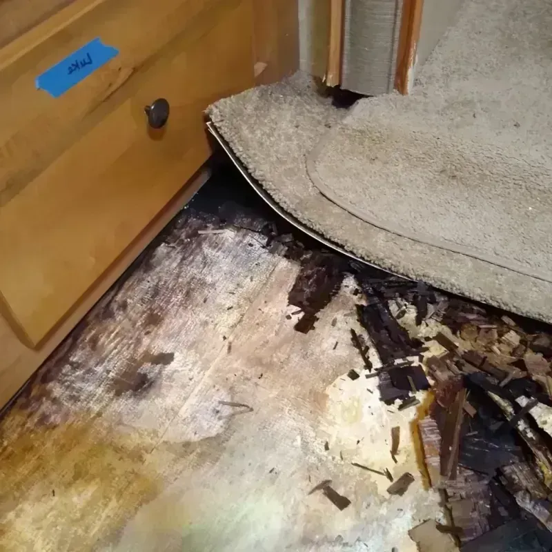 Best Wood Floor Water Damage Service in Itawamba County, MS